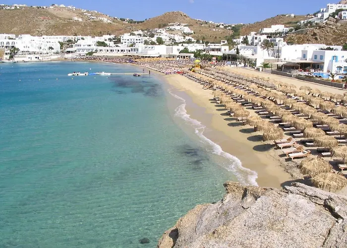Pet friendly La Playa Studio Best Location Close To The Beach & Center Platys Gialos 