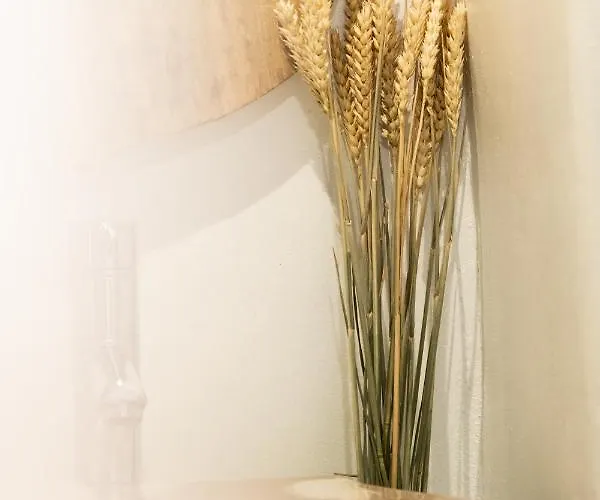 Pet friendly Love Suite Mykonos Town