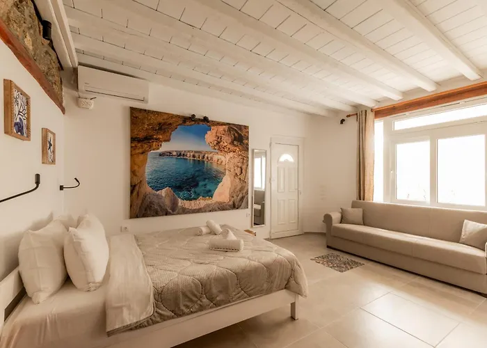 Mykonos Town Pet friendly Vacation Rentals