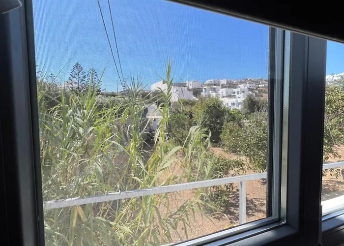 Pet friendly Agge Mykonο Stay Platys Gialos 