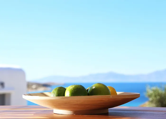 Pet friendly Aelia Mykonos Hotel Ornos 